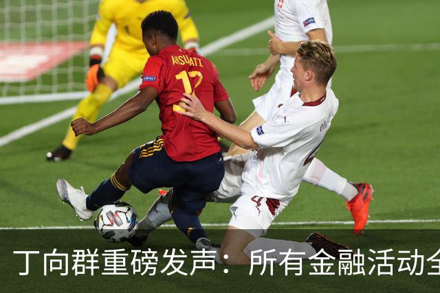 丁向群重磅发声：所有金融活动全部纳入监管，监管制度要成“带电高压线”