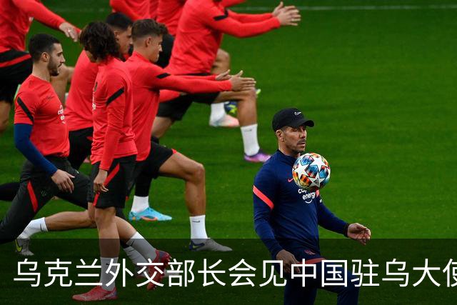 乌克兰外交部长会见中国驻乌大使，“感谢中方”