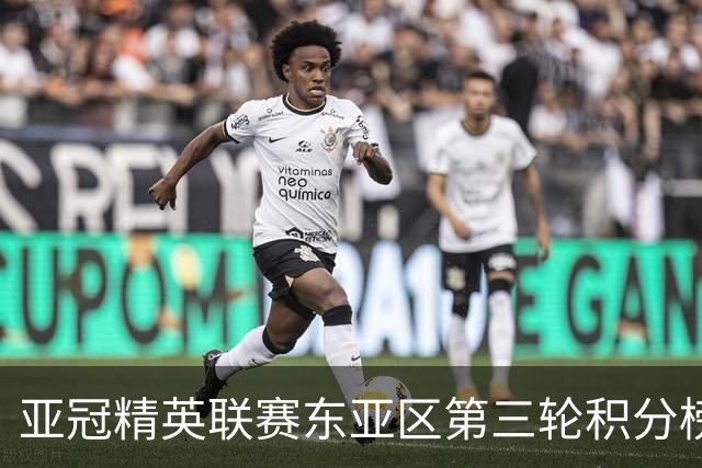 亚冠精英联赛东亚区第三轮积分榜：国安不败位列第五，海港第八