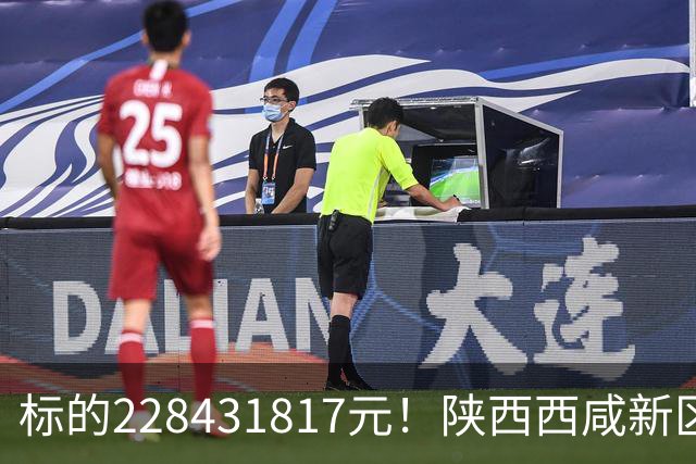标的228431817元！陕西西咸新区发展集团有限公司新增被执行人记录