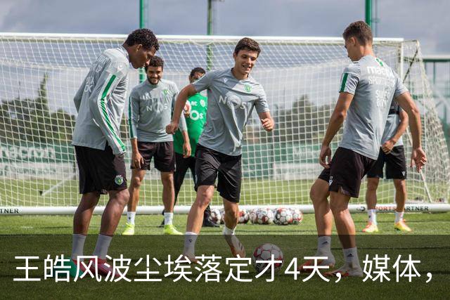 王皓风波尘埃落定才4天，媒体，“点名”，樊振东，再度让人刮目相看