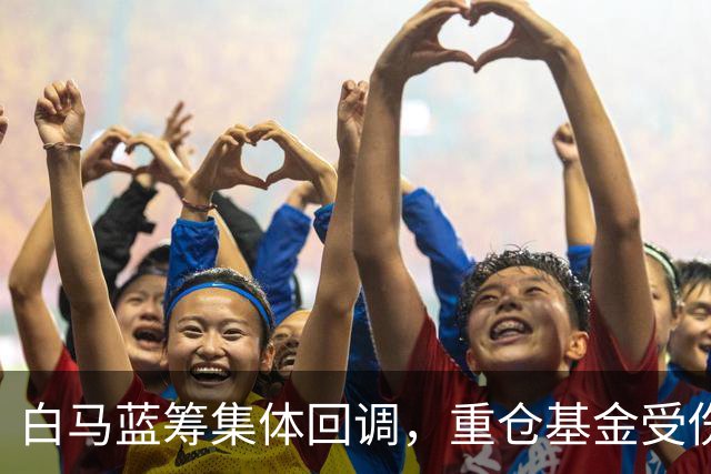 白马蓝筹集体回调，重仓基金受伤有多深？